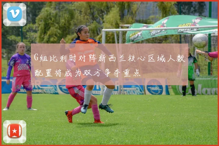 G组比利时对阵新西兰核心区域人数配置将成为双方争夺重点