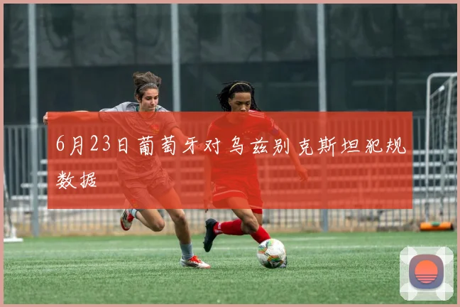 6月23日葡萄牙对乌兹别克斯坦犯规数据