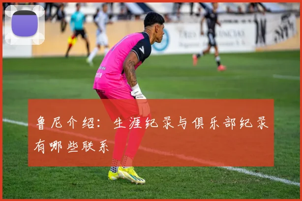 鲁尼介绍：生涯纪录与俱乐部纪录有哪些联系