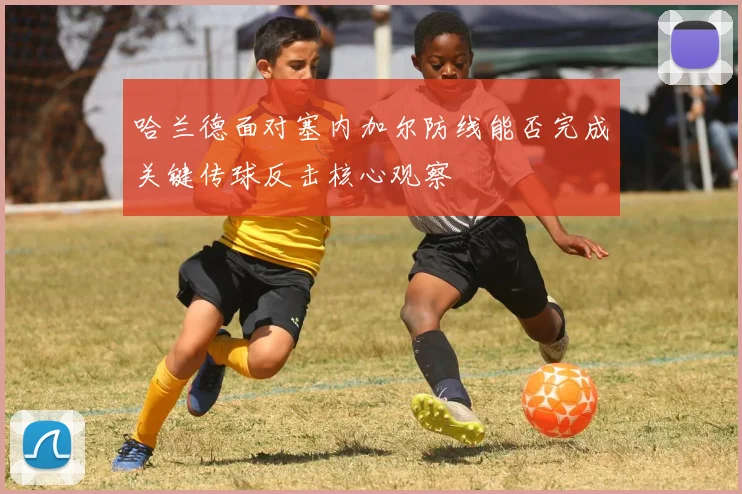 哈兰德面对塞内加尔防线能否完成关键传球反击核心观察