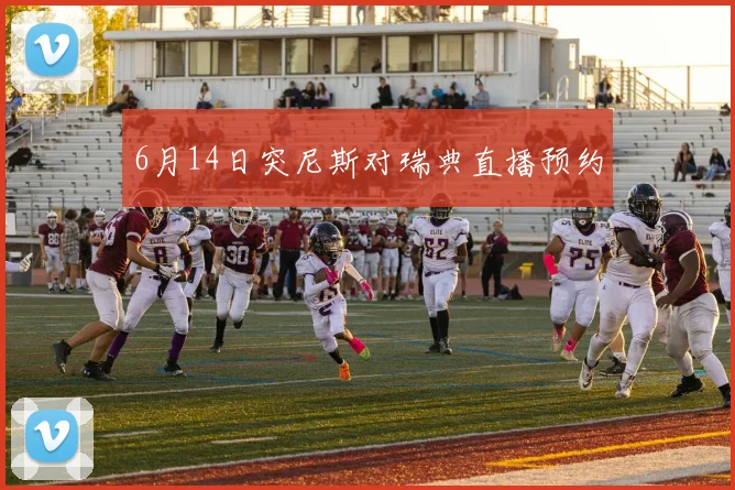 6月14日突尼斯对瑞典直播预约